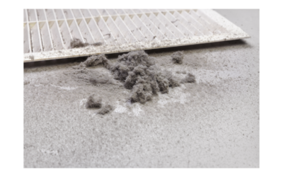 La poussière domestique : Un outil efficace d’évaluation de salubrité microbienne résidentielle