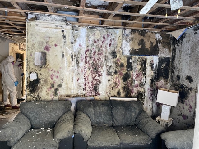 Moisissure intense dans un salon Moisissure intense dans un salon