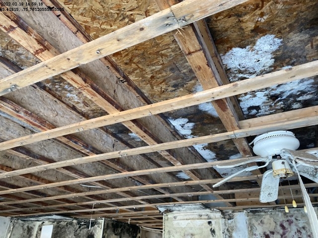 Plafond moisissure Bâtiment contaminé par la moisissure